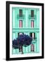 Dolce Vita Rome Collection - Coral Green Building Facade II-Philippe Hugonnard-Framed Photographic Print
