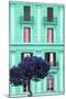 Dolce Vita Rome Collection - Coral Green Building Facade II-Philippe Hugonnard-Mounted Photographic Print