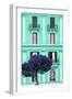 Dolce Vita Rome Collection - Coral Green Building Facade II-Philippe Hugonnard-Framed Photographic Print