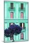 Dolce Vita Rome Collection - Coral Green Building Facade II-Philippe Hugonnard-Mounted Photographic Print