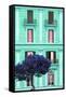 Dolce Vita Rome Collection - Coral Green Building Facade II-Philippe Hugonnard-Framed Stretched Canvas
