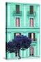 Dolce Vita Rome Collection - Coral Green Building Facade II-Philippe Hugonnard-Stretched Canvas