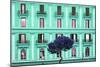 Dolce Vita Rome Collection - Coral Green Building Facade-Philippe Hugonnard-Mounted Photographic Print