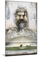 Dolce Vita Rome Collection - Fountain in the Courtyard of the Vatican-Philippe Hugonnard-Mounted Photographic Print