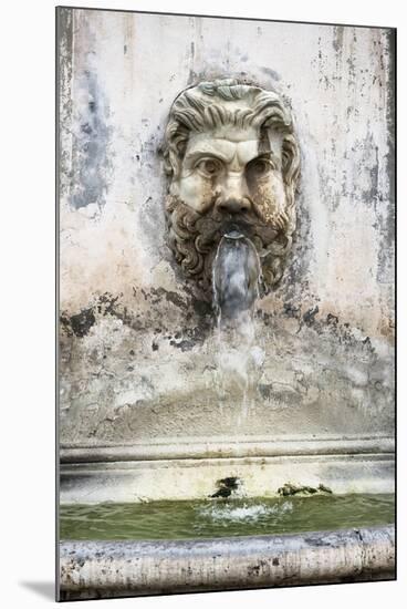 Dolce Vita Rome Collection - Fountain in the Courtyard of the Vatican-Philippe Hugonnard-Mounted Photographic Print