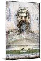 Dolce Vita Rome Collection - Fountain in the Courtyard of the Vatican-Philippe Hugonnard-Mounted Photographic Print