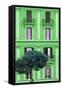 Dolce Vita Rome Collection - Green Building Facade II-Philippe Hugonnard-Framed Stretched Canvas