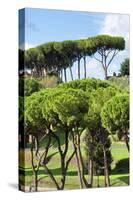 Dolce Vita Rome Collection - Green Trees II-Philippe Hugonnard-Stretched Canvas