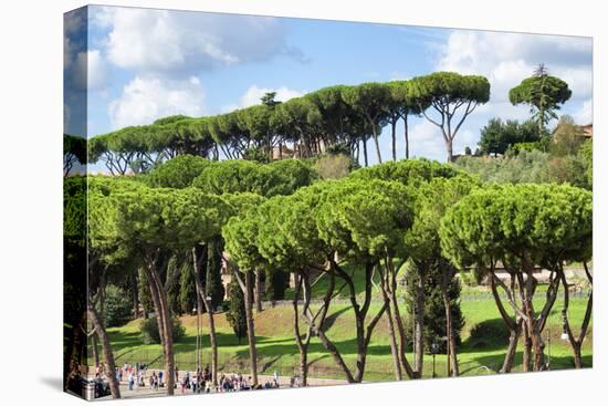 Dolce Vita Rome Collection - Green Trees-Philippe Hugonnard-Stretched Canvas