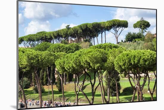 Dolce Vita Rome Collection - Green Trees-Philippe Hugonnard-Mounted Photographic Print