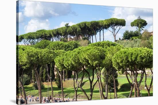 Dolce Vita Rome Collection - Green Trees-Philippe Hugonnard-Stretched Canvas