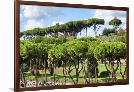 Dolce Vita Rome Collection - Green Trees-Philippe Hugonnard-Framed Photographic Print