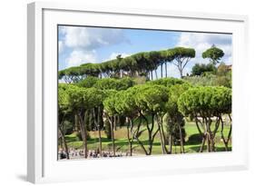 Dolce Vita Rome Collection - Green Trees-Philippe Hugonnard-Framed Photographic Print