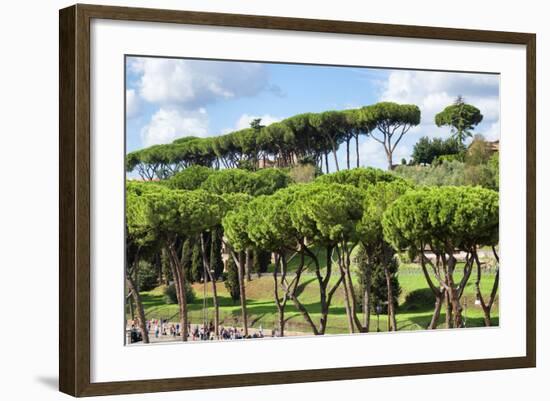 Dolce Vita Rome Collection - Green Trees-Philippe Hugonnard-Framed Photographic Print