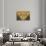 Dolce Vita Rome Collection - Hall of Mirrors III-Philippe Hugonnard-Photographic Print displayed on a wall