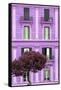 Dolce Vita Rome Collection - Mauve Building Facade II-Philippe Hugonnard-Framed Stretched Canvas