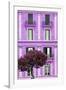 Dolce Vita Rome Collection - Mauve Building Facade II-Philippe Hugonnard-Framed Photographic Print