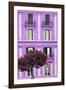 Dolce Vita Rome Collection - Mauve Building Facade II-Philippe Hugonnard-Framed Photographic Print