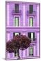 Dolce Vita Rome Collection - Mauve Building Facade II-Philippe Hugonnard-Mounted Premium Photographic Print