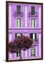 Dolce Vita Rome Collection - Mauve Building Facade II-Philippe Hugonnard-Framed Photographic Print