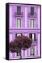 Dolce Vita Rome Collection - Mauve Building Facade II-Philippe Hugonnard-Framed Stretched Canvas