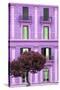 Dolce Vita Rome Collection - Mauve Building Facade II-Philippe Hugonnard-Stretched Canvas