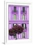 Dolce Vita Rome Collection - Mauve Building Facade II-Philippe Hugonnard-Framed Photographic Print