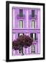 Dolce Vita Rome Collection - Mauve Building Facade II-Philippe Hugonnard-Framed Photographic Print