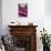 Dolce Vita Rome Collection - Pink Vatican Staircase-Philippe Hugonnard-Stretched Canvas displayed on a wall