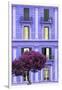 Dolce Vita Rome Collection - Purple Building Facade II-Philippe Hugonnard-Framed Photographic Print
