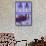 Dolce Vita Rome Collection - Purple Building Facade II-Philippe Hugonnard-Framed Stretched Canvas displayed on a wall