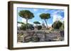 Dolce Vita Rome Collection - Roman Archaeology Columns II-Philippe Hugonnard-Framed Photographic Print