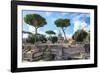 Dolce Vita Rome Collection - Roman Archaeology Columns II-Philippe Hugonnard-Framed Photographic Print