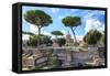 Dolce Vita Rome Collection - Roman Archaeology Columns II-Philippe Hugonnard-Framed Stretched Canvas