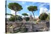 Dolce Vita Rome Collection - Roman Archaeology Columns II-Philippe Hugonnard-Stretched Canvas