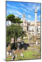 Dolce Vita Rome Collection - Roman Archaeology Columns IV-Philippe Hugonnard-Mounted Photographic Print