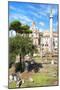 Dolce Vita Rome Collection - Roman Archaeology Columns IV-Philippe Hugonnard-Mounted Photographic Print