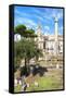 Dolce Vita Rome Collection - Roman Archaeology Columns IV-Philippe Hugonnard-Framed Stretched Canvas