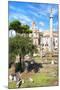 Dolce Vita Rome Collection - Roman Archaeology Columns IV-Philippe Hugonnard-Mounted Photographic Print
