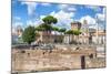 Dolce Vita Rome Collection - Roman Archaeology Columns-Philippe Hugonnard-Mounted Photographic Print