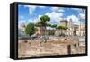 Dolce Vita Rome Collection - Roman Archaeology Columns-Philippe Hugonnard-Framed Stretched Canvas