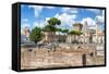 Dolce Vita Rome Collection - Roman Archaeology Columns-Philippe Hugonnard-Framed Stretched Canvas