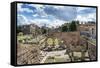 Dolce Vita Rome Collection - Roman Ruins in Rome-Philippe Hugonnard-Framed Stretched Canvas