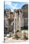 Dolce Vita Rome Collection - Rome Columns II-Philippe Hugonnard-Stretched Canvas