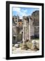 Dolce Vita Rome Collection - Rome Columns II-Philippe Hugonnard-Framed Photographic Print