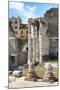 Dolce Vita Rome Collection - Rome Columns II-Philippe Hugonnard-Mounted Photographic Print