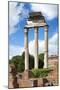 Dolce Vita Rome Collection - Ruined Roman Pillars-Philippe Hugonnard-Mounted Photographic Print
