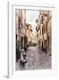Dolce Vita Rome Collection - Scooter in street II-Philippe Hugonnard-Framed Premium Photographic Print