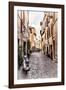 Dolce Vita Rome Collection - Scooter in street II-Philippe Hugonnard-Framed Premium Photographic Print