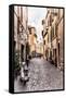 Dolce Vita Rome Collection - Scooter in street II-Philippe Hugonnard-Framed Stretched Canvas